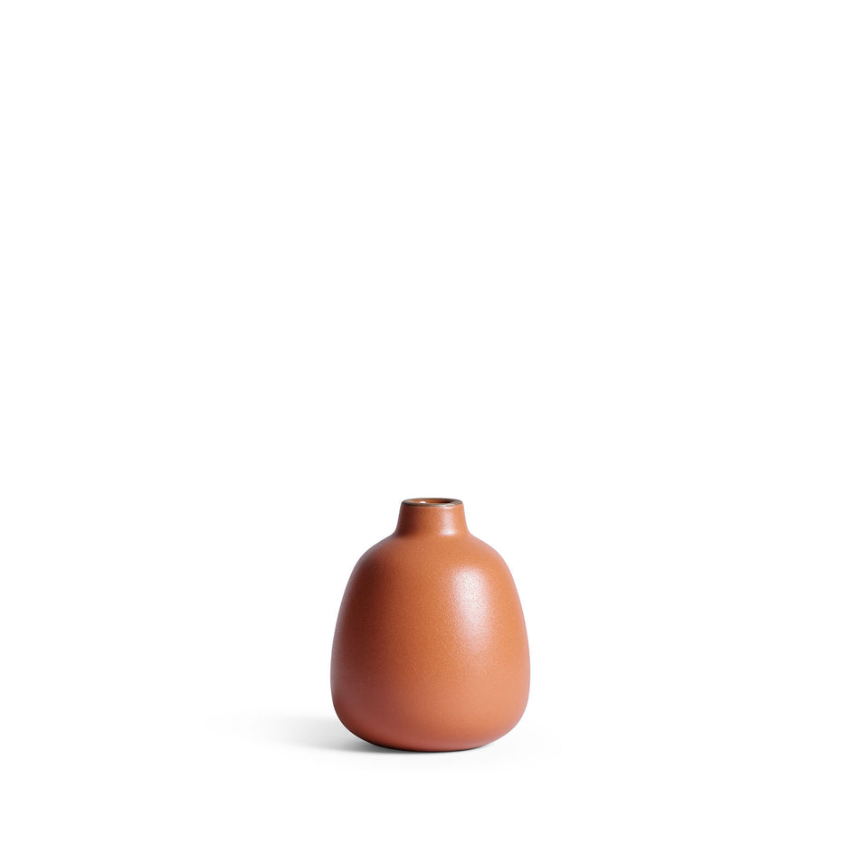 Bud Vase in Desert Image 1
