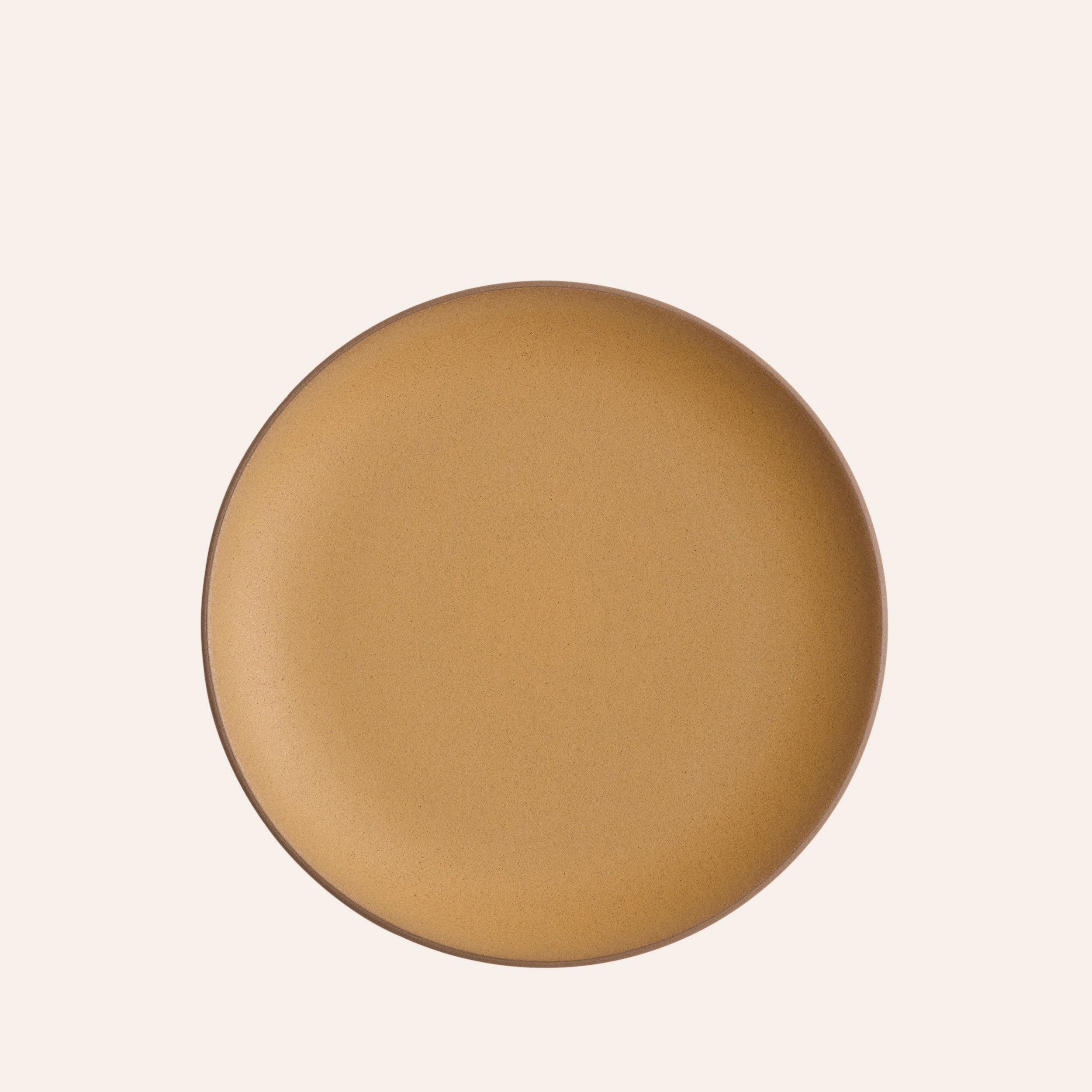 Dinner Plate