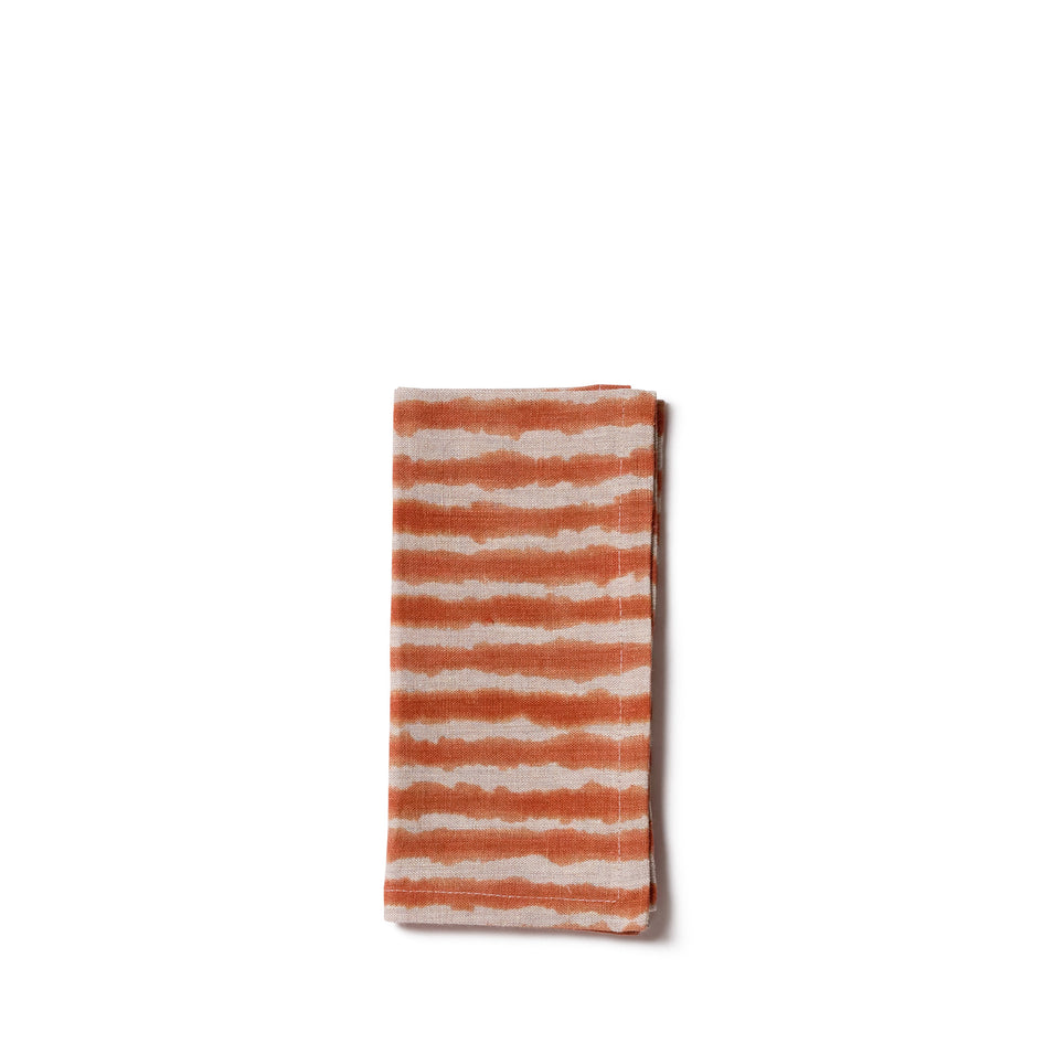 Napkin in Desert Image 1