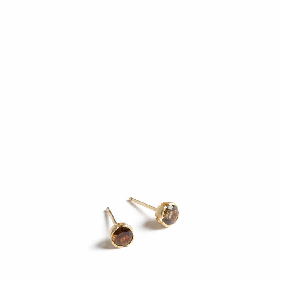Eva Post Earrings Image 1