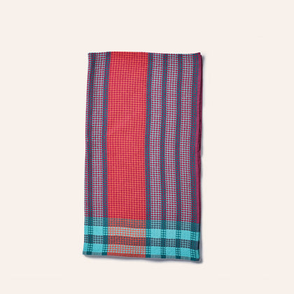 Scout Towel in Ladybug