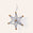Star Ornament in Silver/Gold