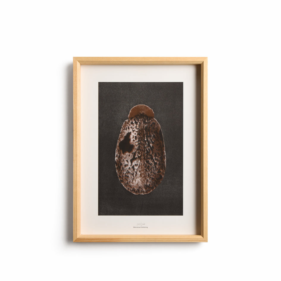 Origins No 3 Limited Print Image 2