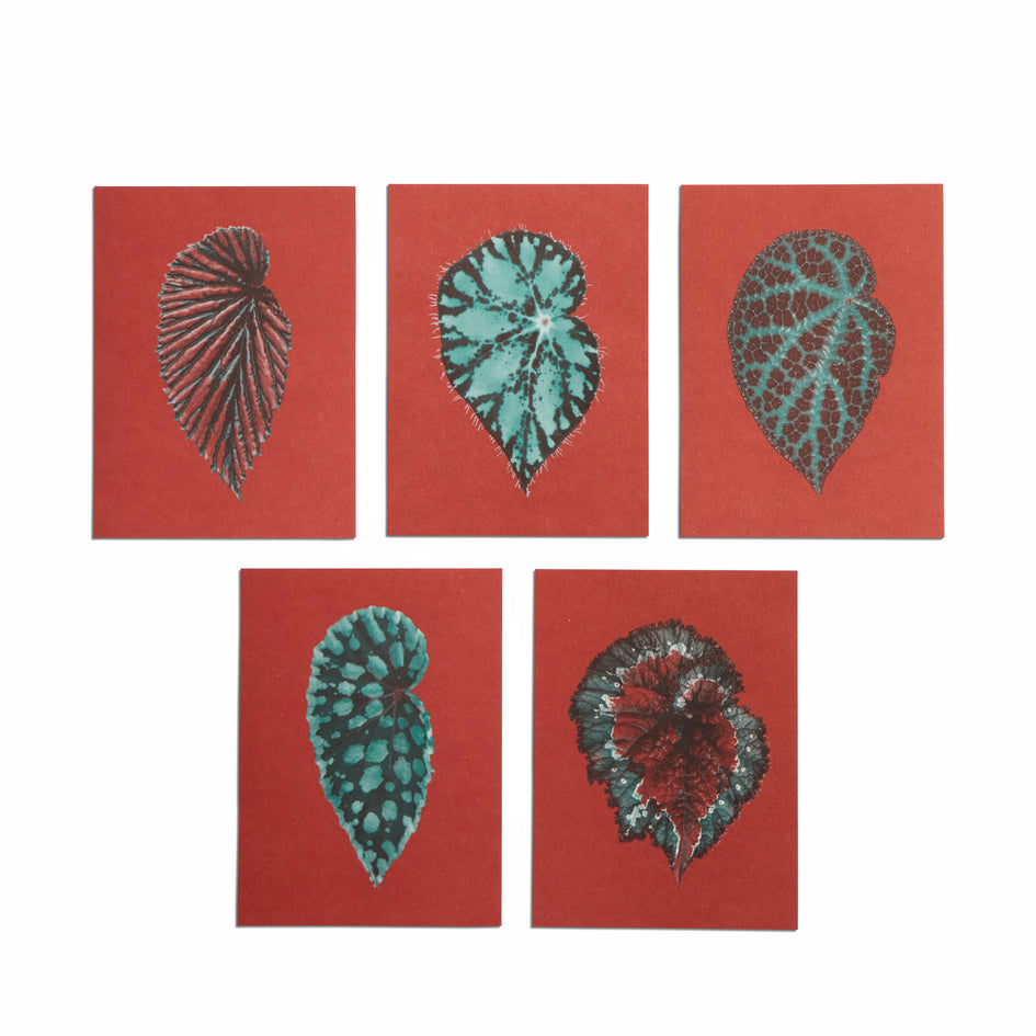 No. 12 Leaves of Friendship Small Print Set Image 1