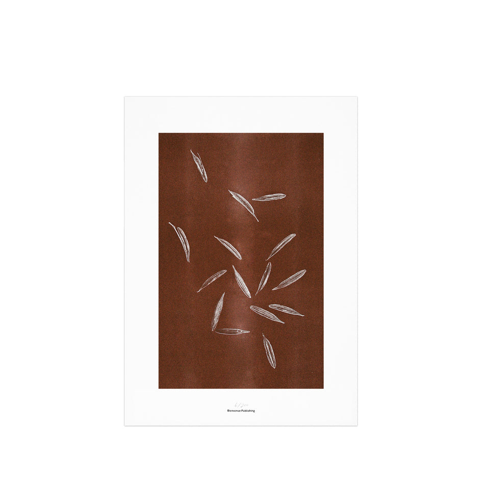 Origins No 2 Limited Print Image 1