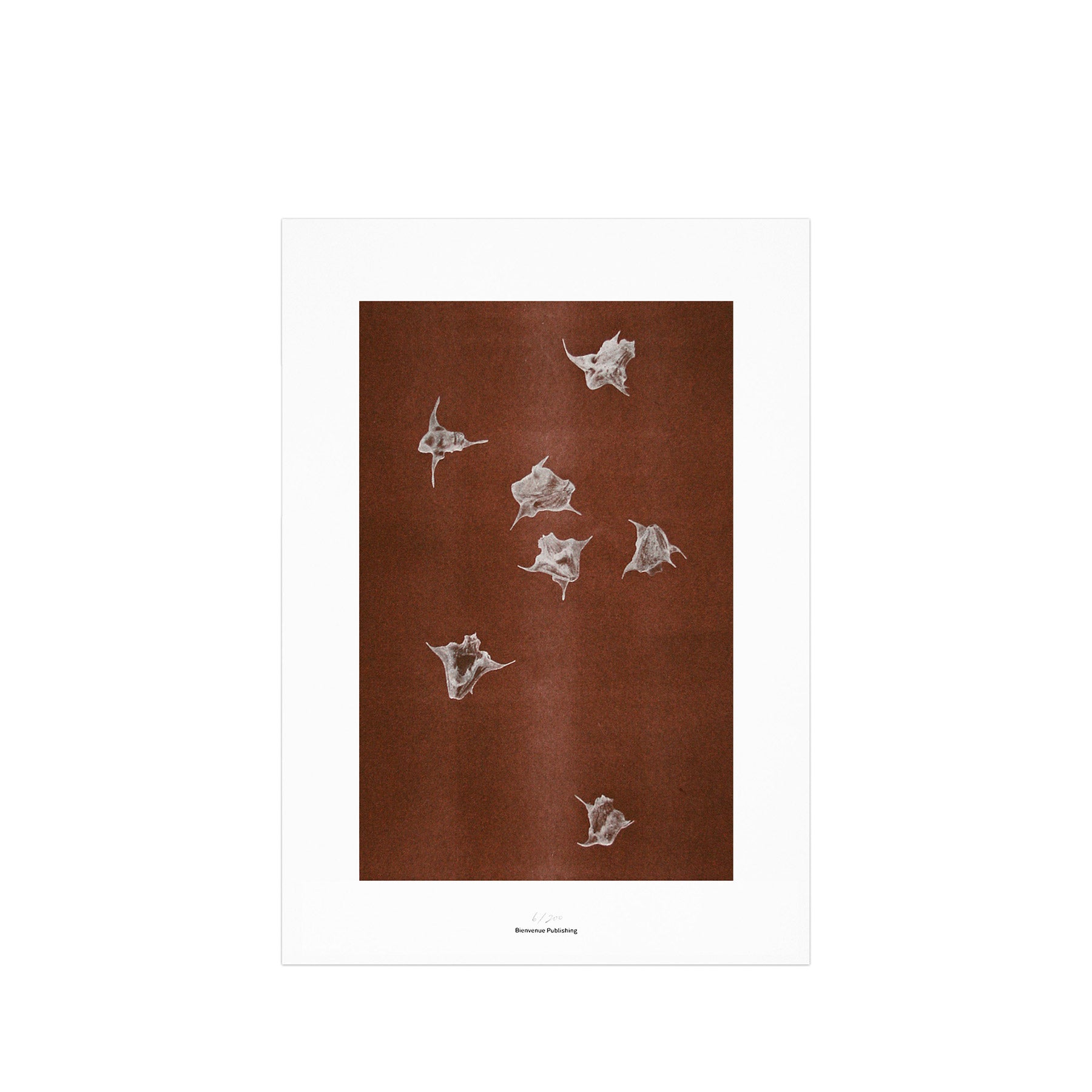Origins No 5 Limited Print Zoom Image 1