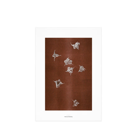Origins No 5 Limited Print