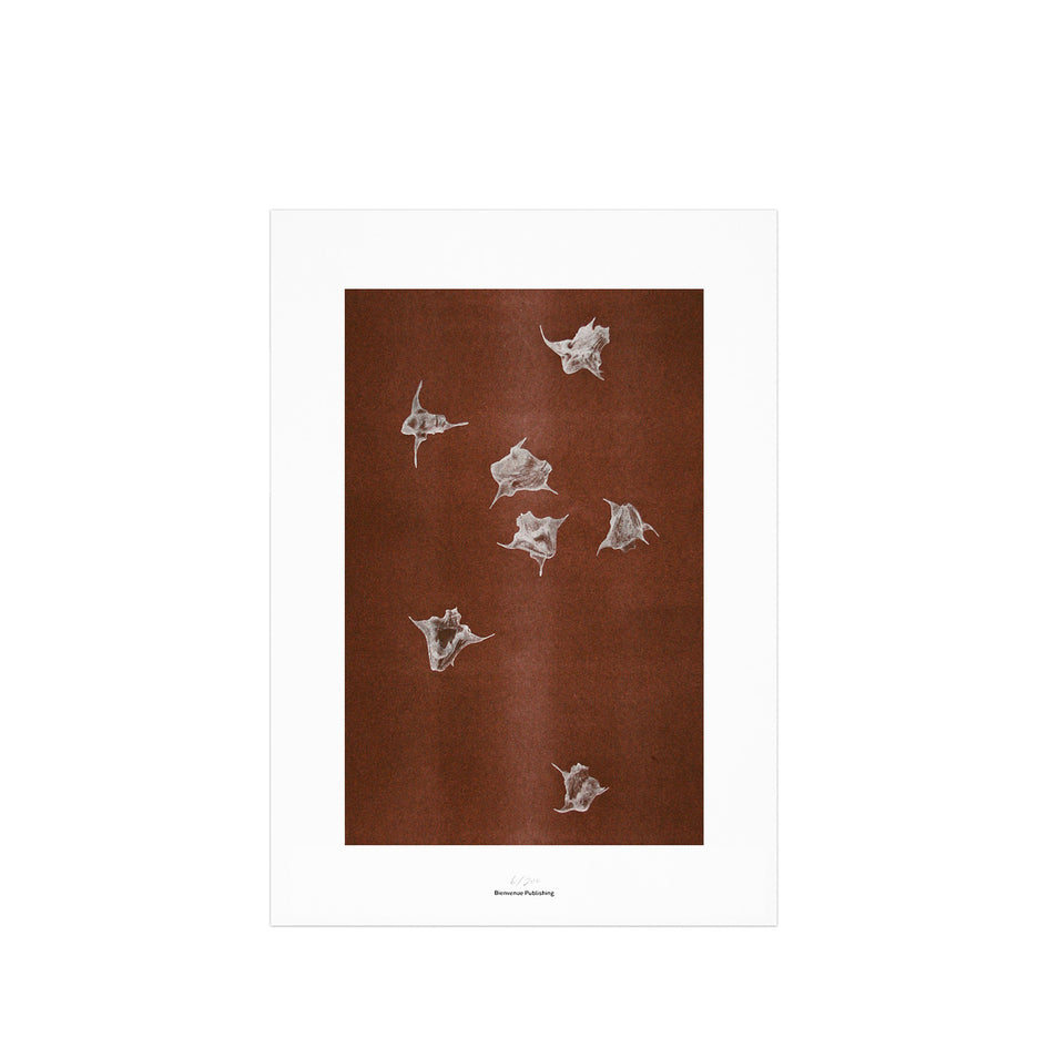 Origins No 5 Limited Print Image 1