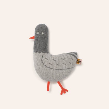 Paddy Pigeon