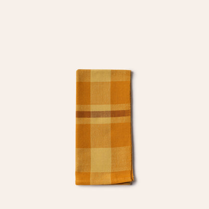 Charleston Plaid Napkin in Grassland (Set of 2)