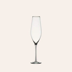Cabernet Champagne Glass (Set of 6)