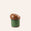 Special Edition Container 05
