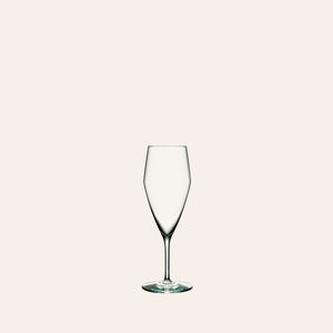 Perfection Champagne Glass (Set of 6)