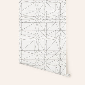 Wallpaper in Charcoal Strike