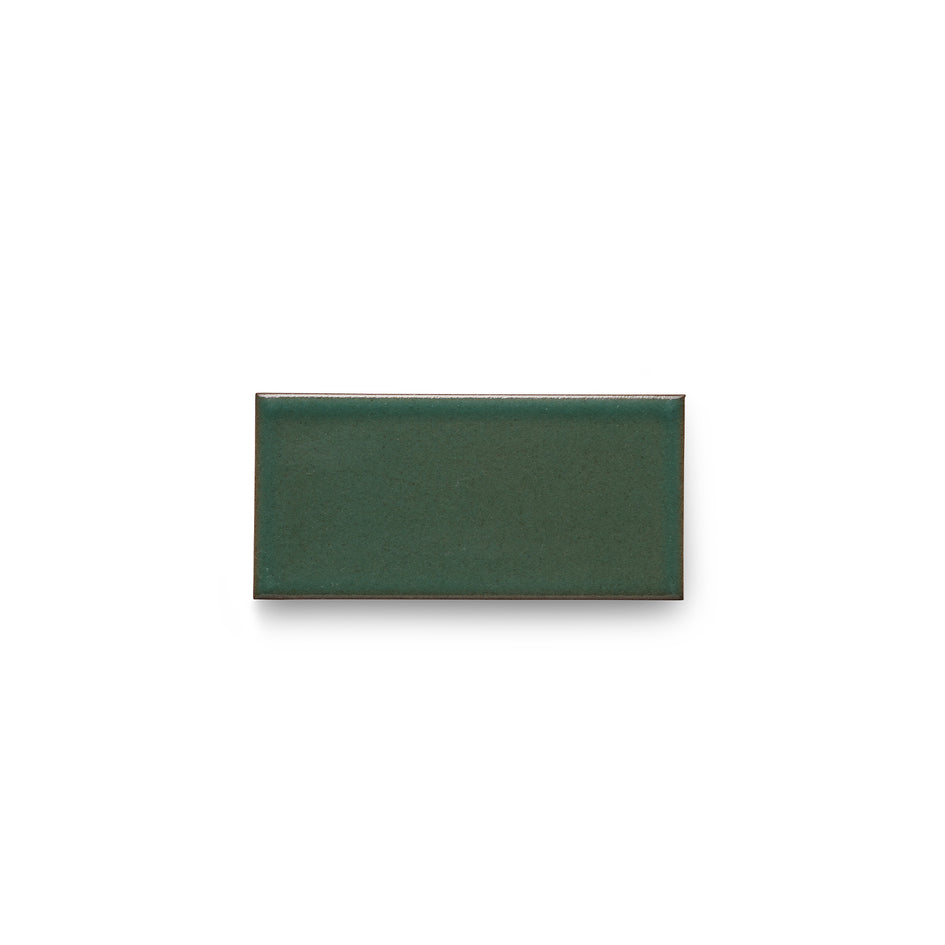 G116 Sample in Geyser Green Image 2