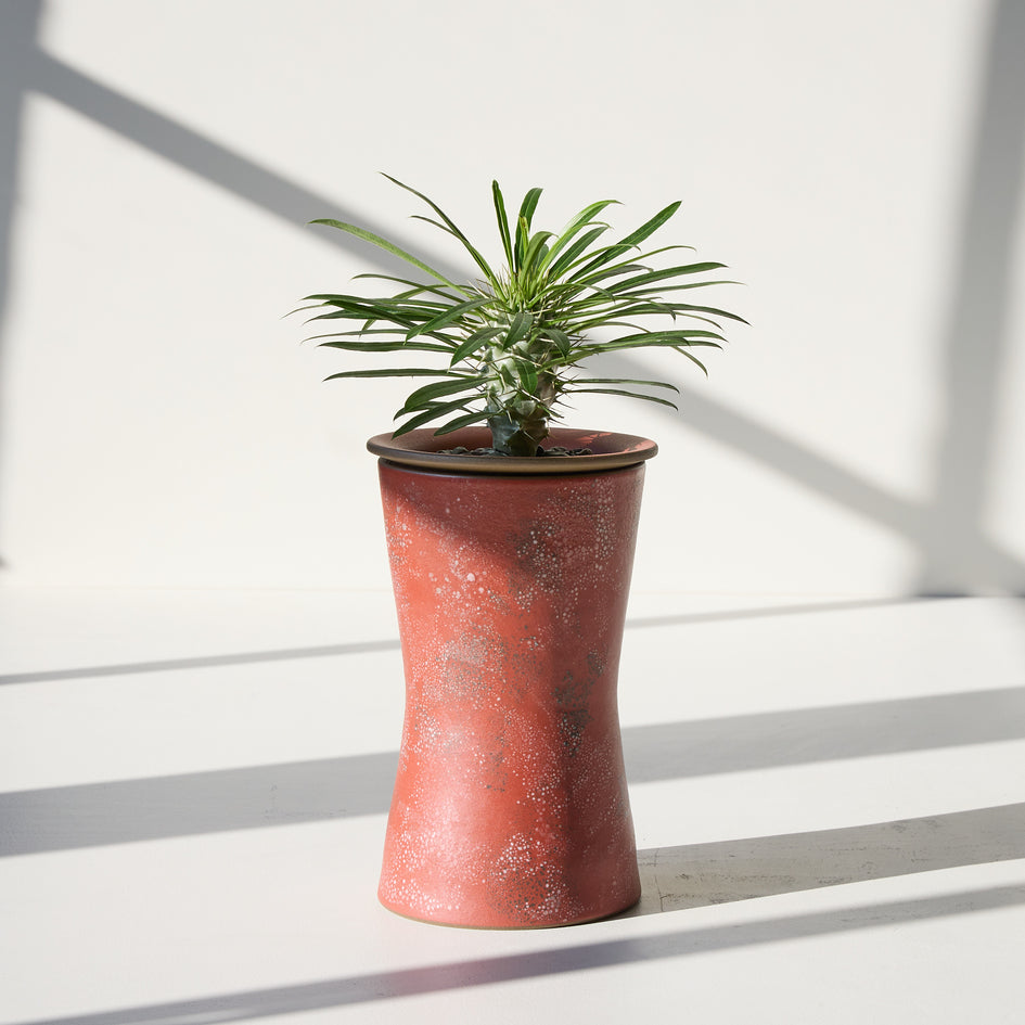 Form 57 Image 1